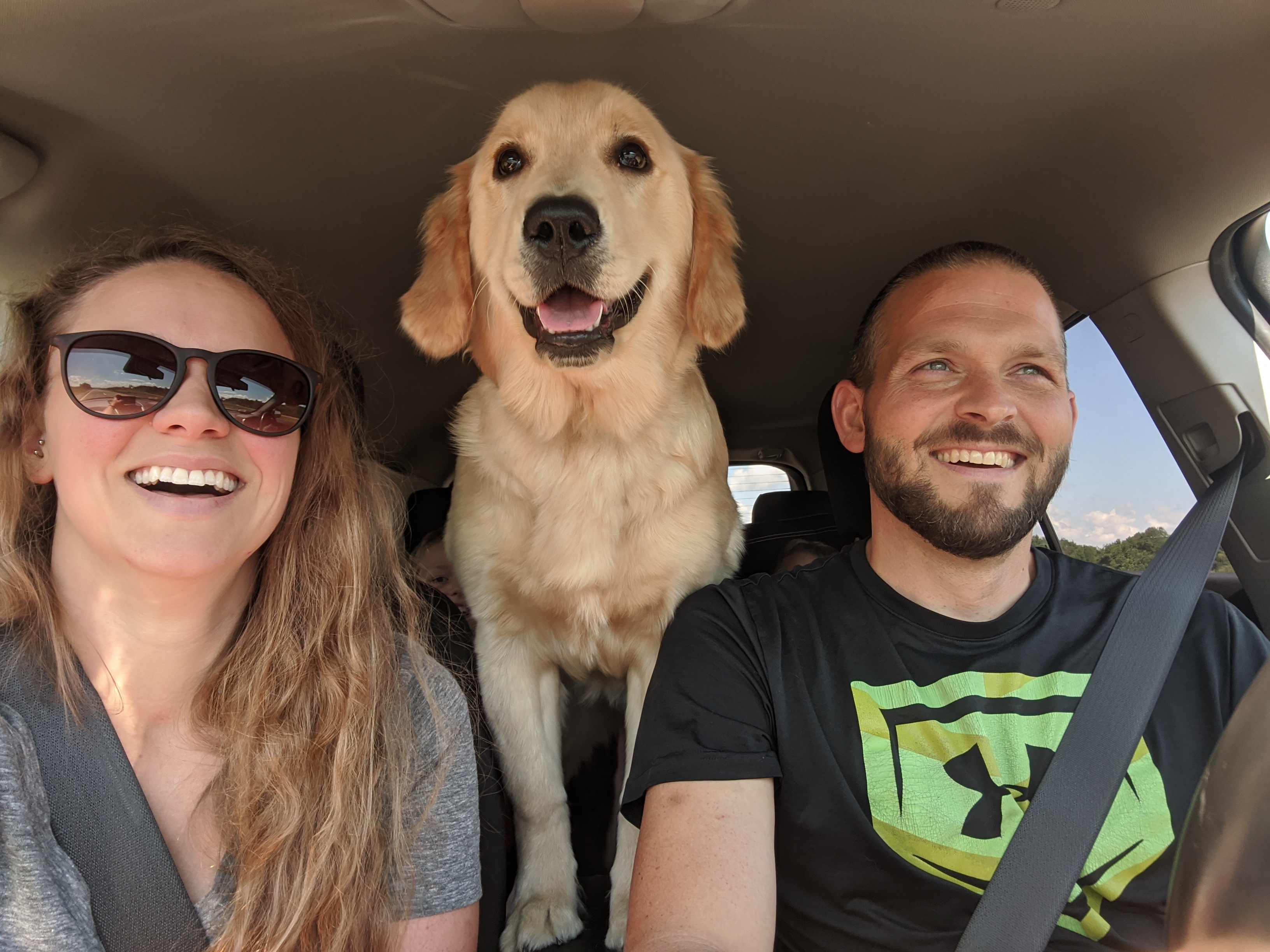 Golden Berry Retrievers